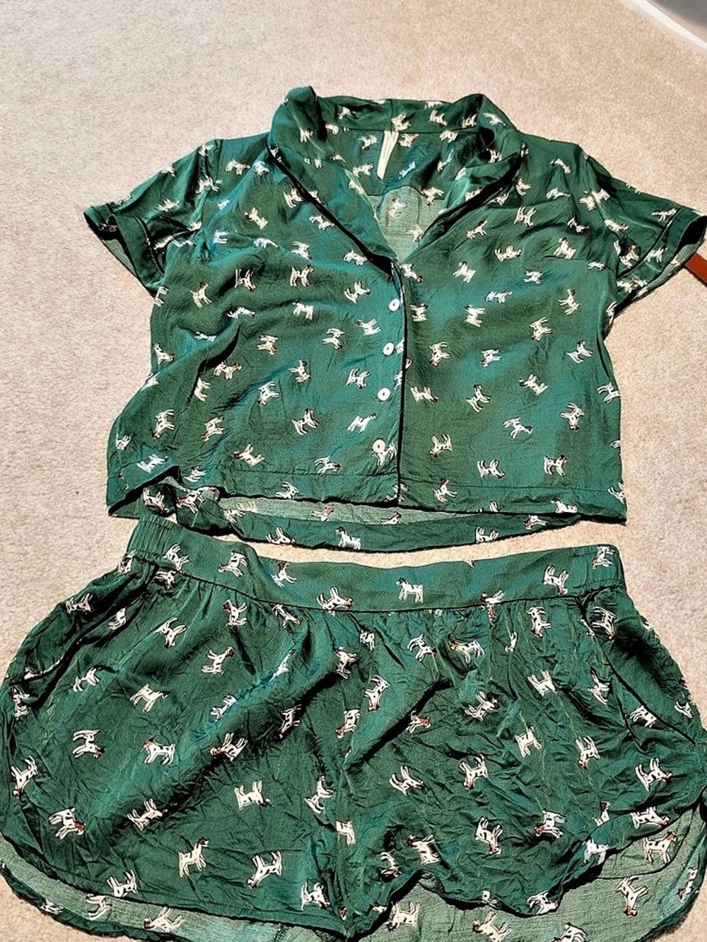 Anthropologie Dog Print Pajama Set, Excellent condition!